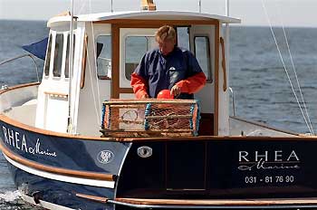 Rhéa passar både för hummerfiske och glidarturer.