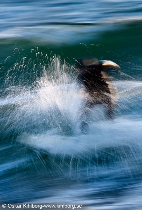 Surfing på Torö i november. Foto: Oskar Kihlborg