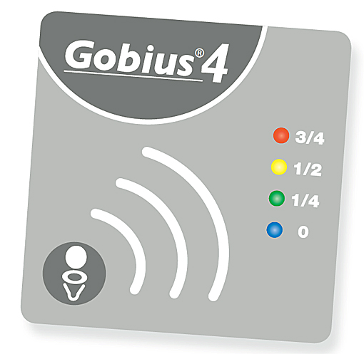 Gobius