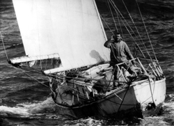 Sir Robin Knox