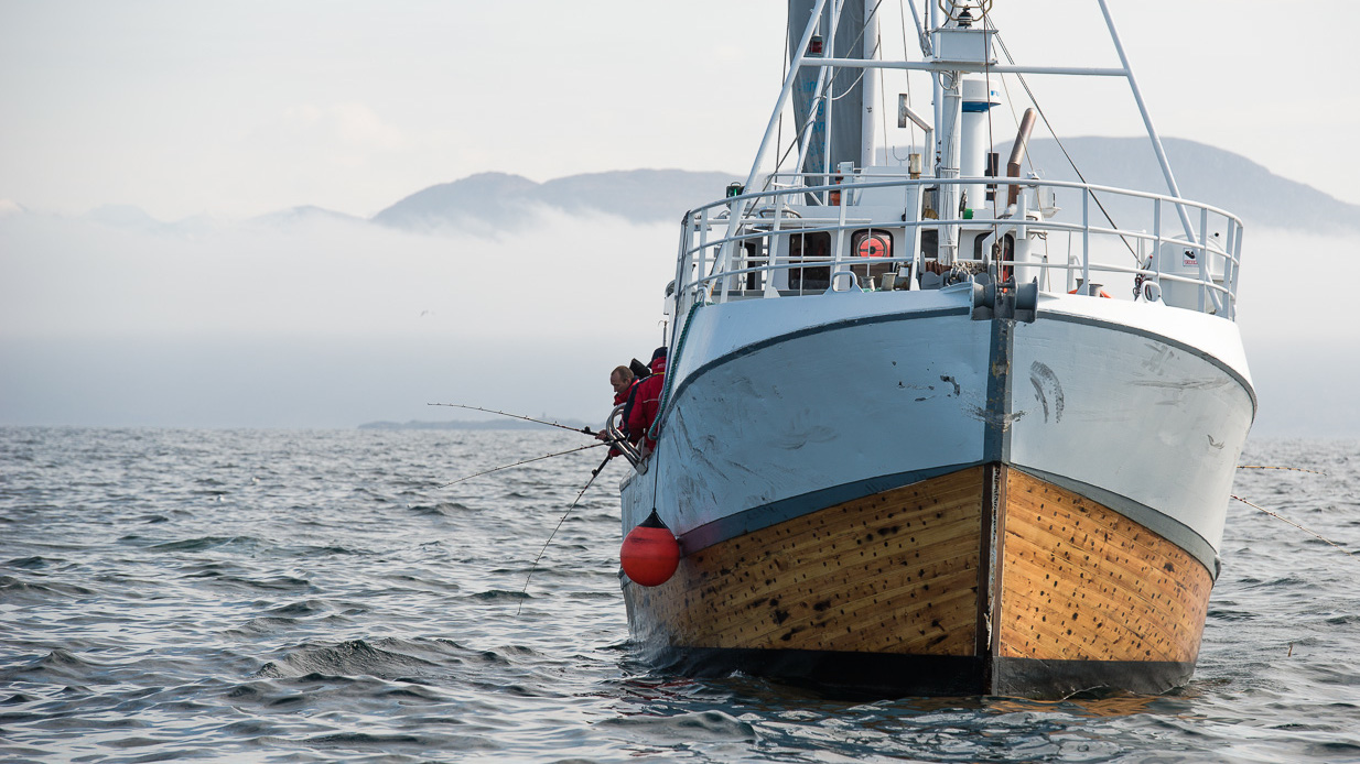 Reportage_2014_Upptacktsresan_norge_Dag_5_Fisketur_del_4_Net1_fiske_solid